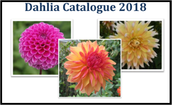Dahlia Catalogue